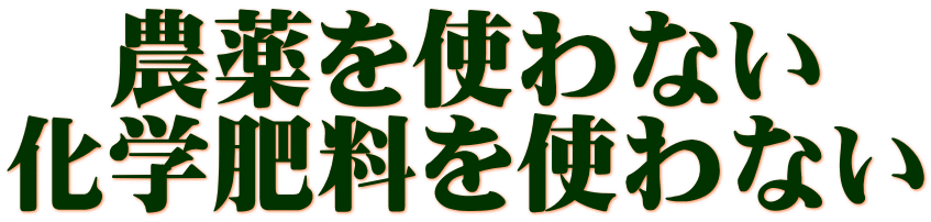 農薬を使わない 化学肥料を使わない 