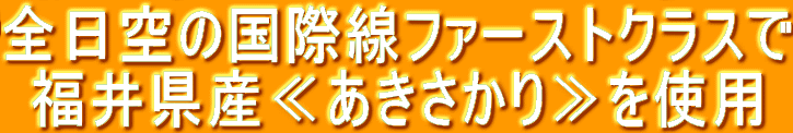 S̍ېt@[XgNX 䌧YႠgp 