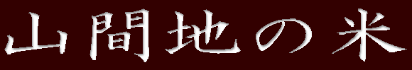 RԒn̕ 