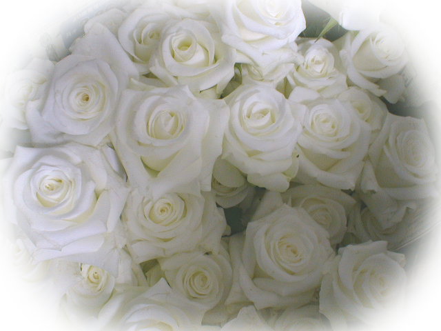 @o@ԑ@Mtg