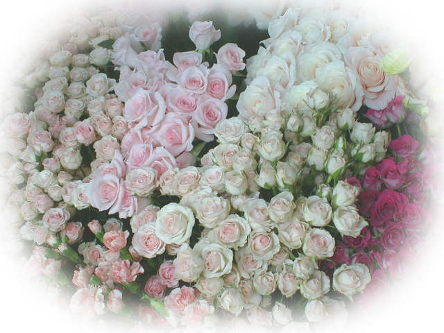 @o@ԑ@Mtg